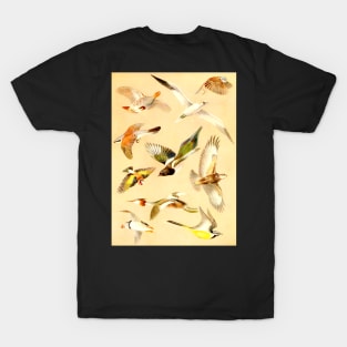 Vintage Flying Birds 1922 ver.2 T-Shirt